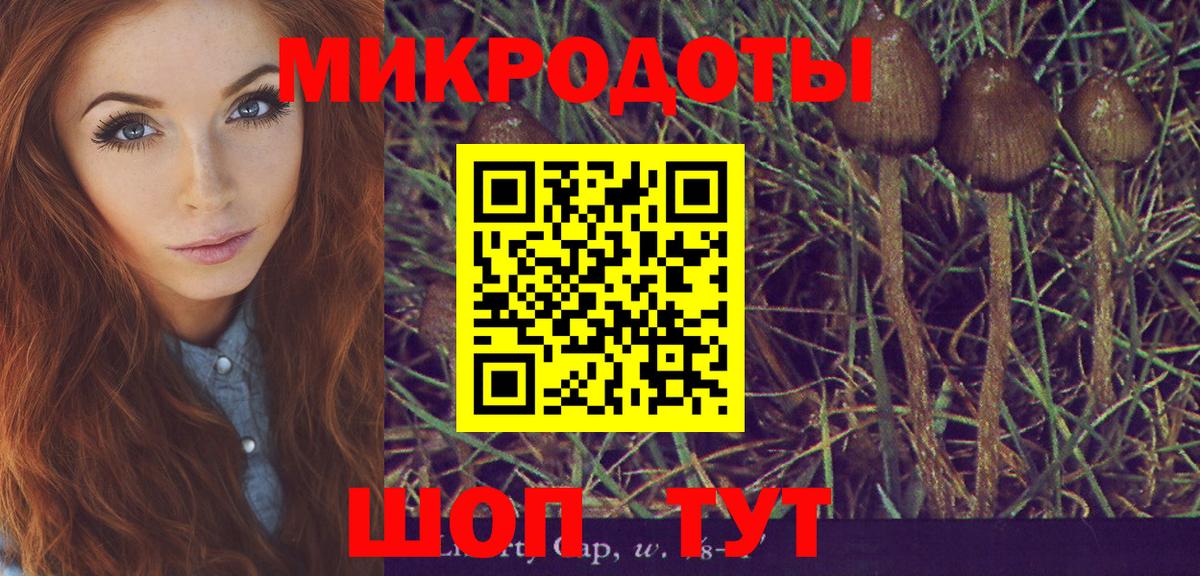 Псилоцибиновые грибы GOLDEN TEACHER  Вход с VPN  Муравленко 